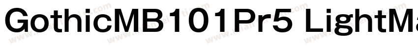 GothicMB101Pr5 LightMaruFoPro Regul字体转换